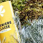 Premiere Classe Dunkerque Saint Pol Sur Hotel Dunkierka